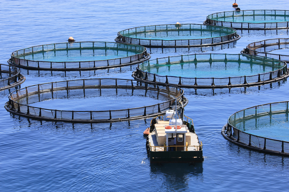 Aquaculture